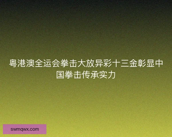 粤港澳全运会拳击大放异彩十三金彰显中国拳击传承实力