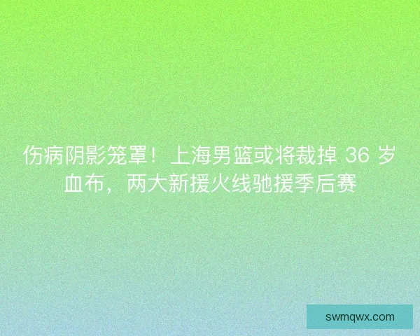 伤病阴影笼罩！上海男篮或将裁掉 36 岁血布，两大新援火线驰援季后赛